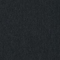 JHNP-159