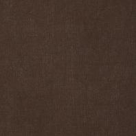 MS-5113